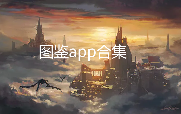 ͼapp